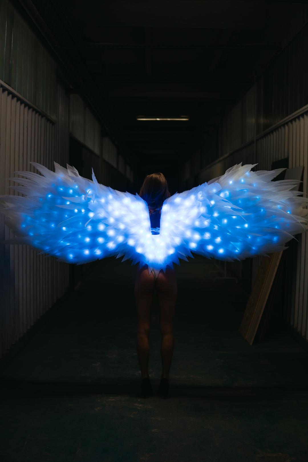 LED skrzydła anioła na sesję zdjęciową  "marki Bogacci"