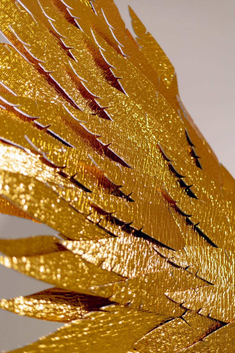 Złote skrzydła anioła do sesji zdjęciowej "marki Bogacci"